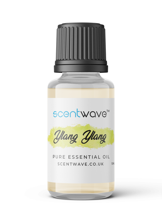 Ylang Ylang Essential Oil